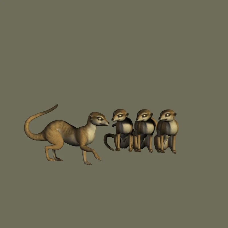 Lustige Erdmännchen
