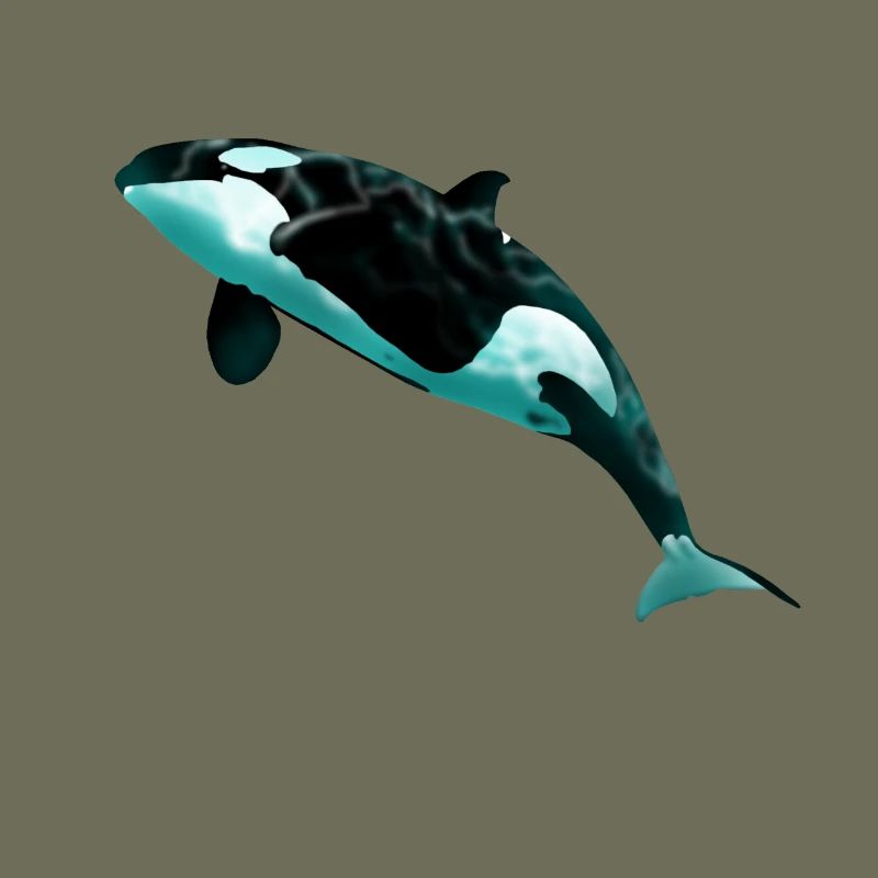 Orca