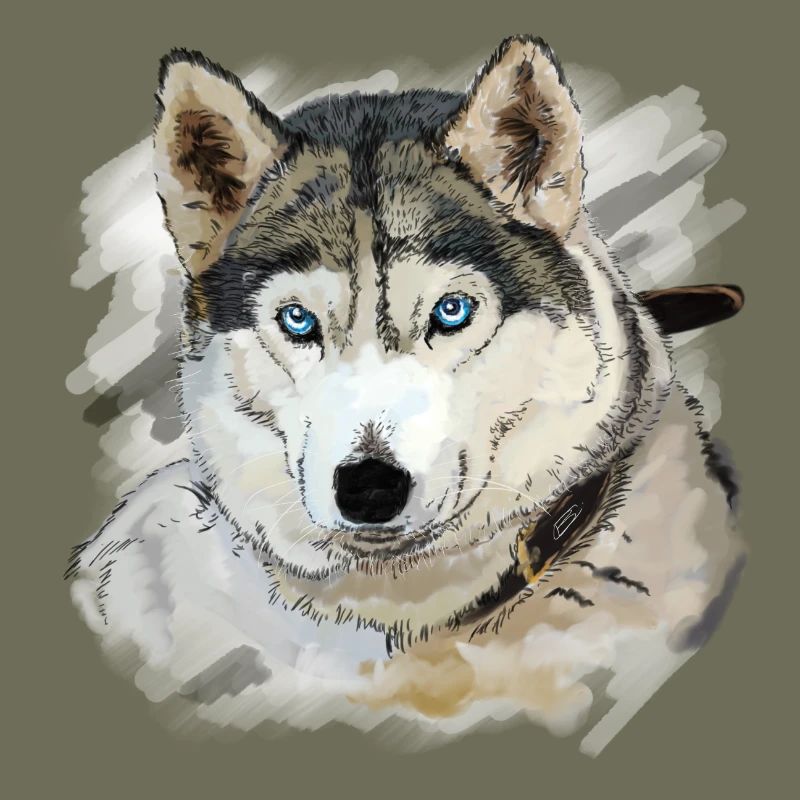 Husky