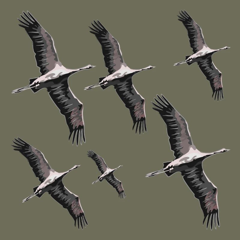 Vogelzug Kraniche