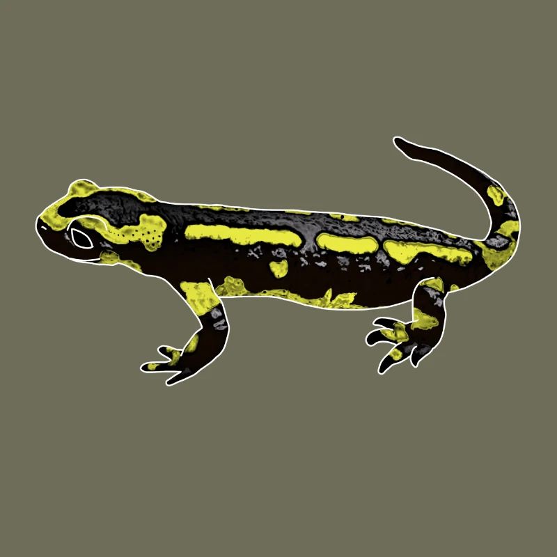 Fire salamander