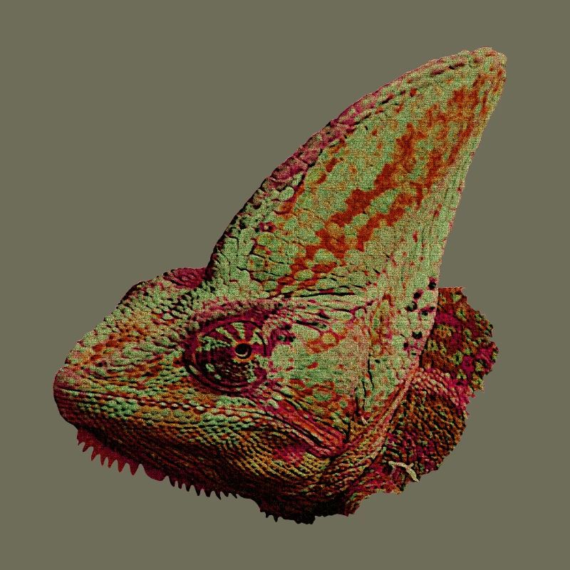 Reptilien designs, Chameleonkopf, freizeitkleidung
