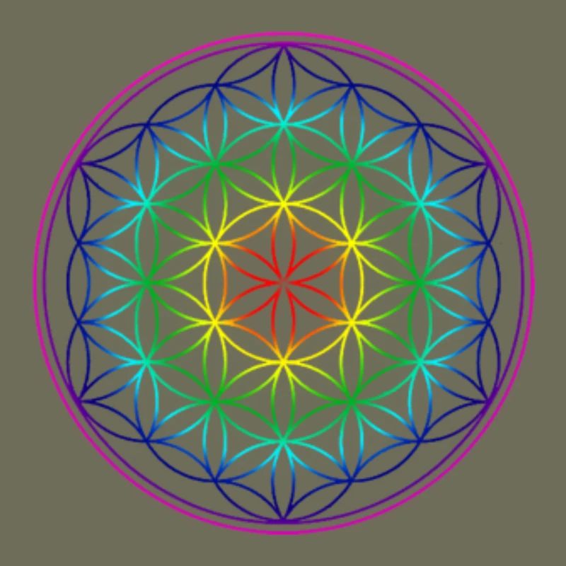 REGENBOGENBLUME DES LEBENS
