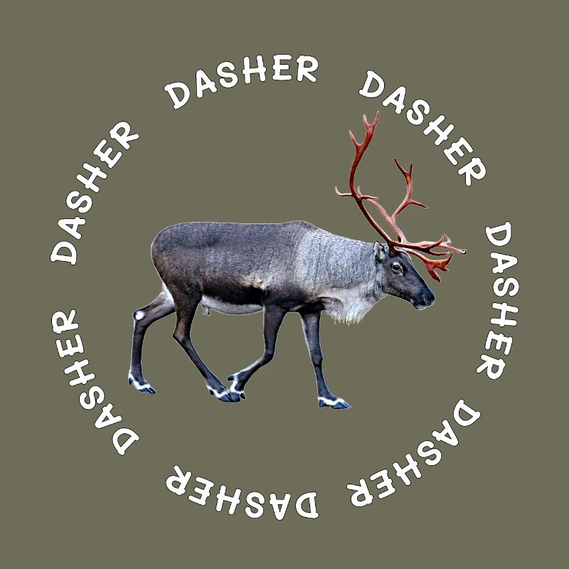 DASHER