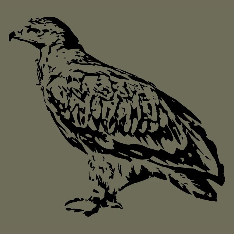 Faucons Oiseaux Oiseaux