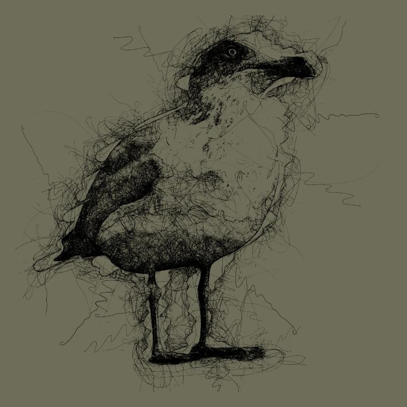 Möwe