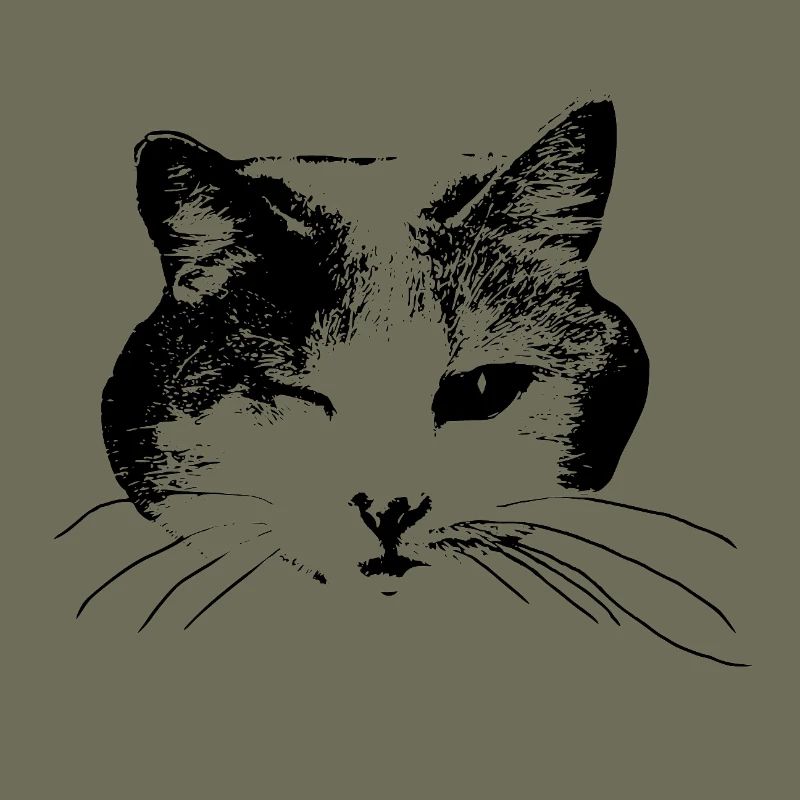 Kitty wink