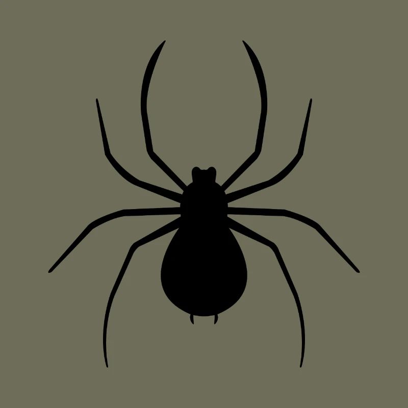 Spinne