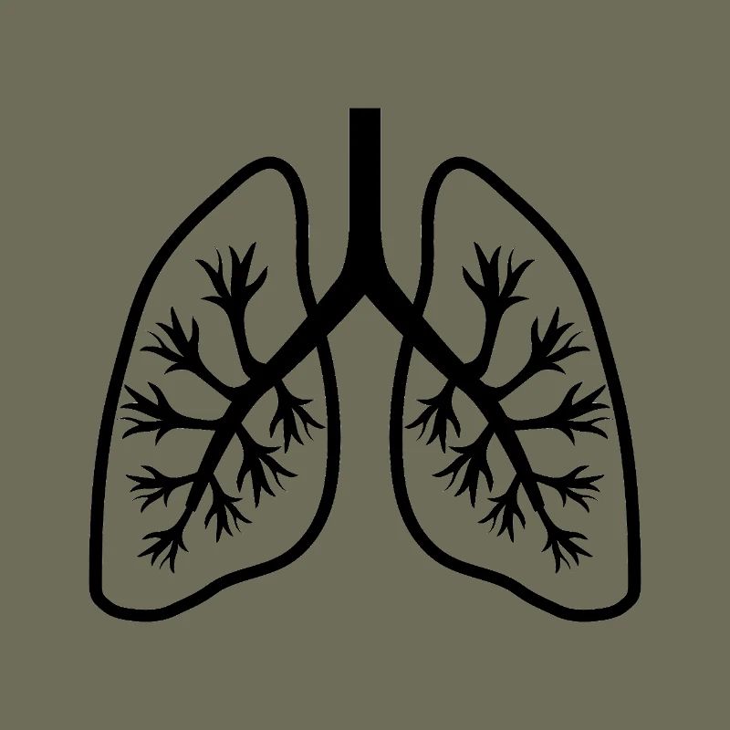Lungs