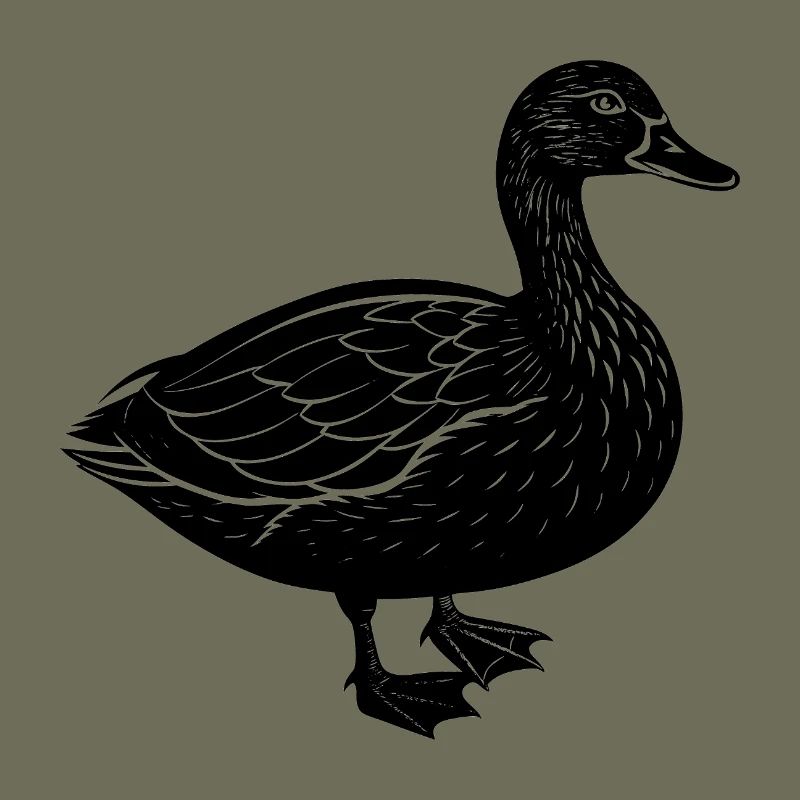 Canard