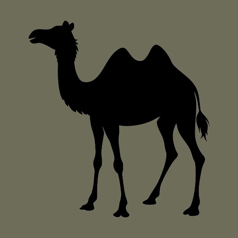 camel