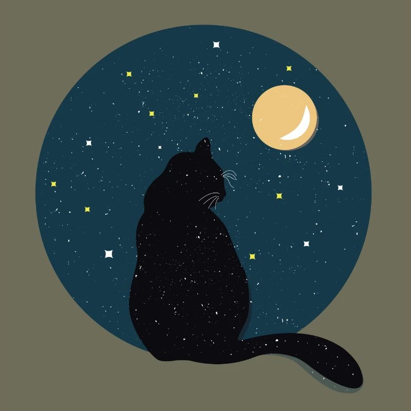 Chat noir devant la lune.