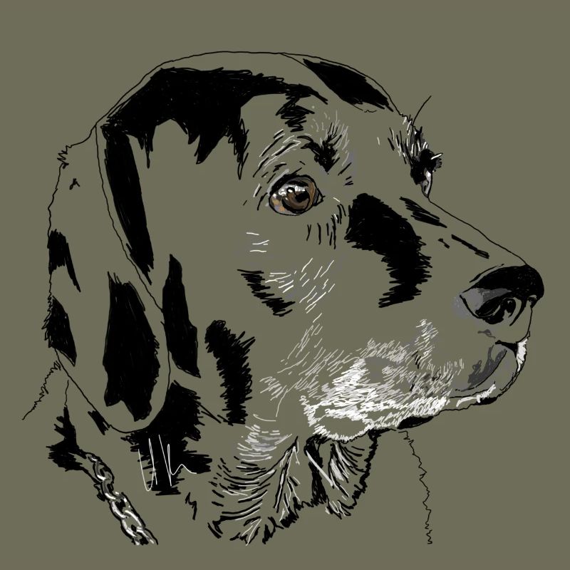 Labrador