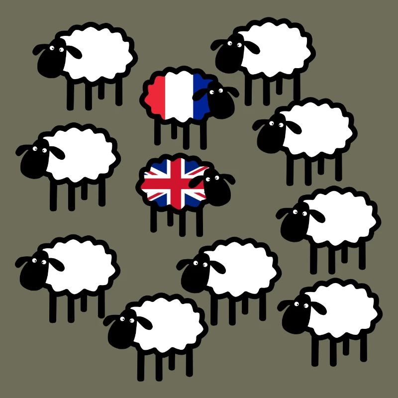 French and British sheep