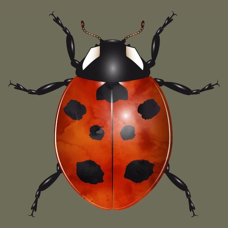 enchanting ladybug in bright colors