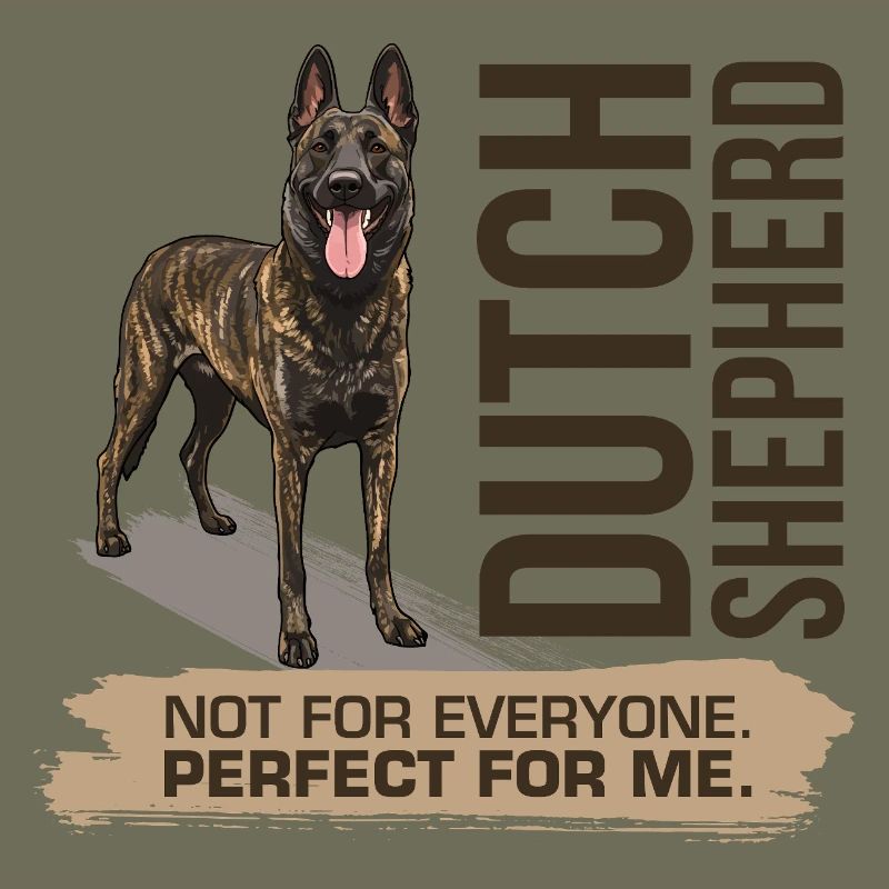 Dutch Shepherd - Dutchie 