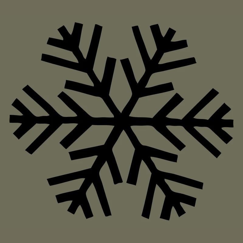 neige flocon de neige