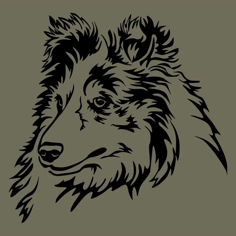 Sheltie Kopf