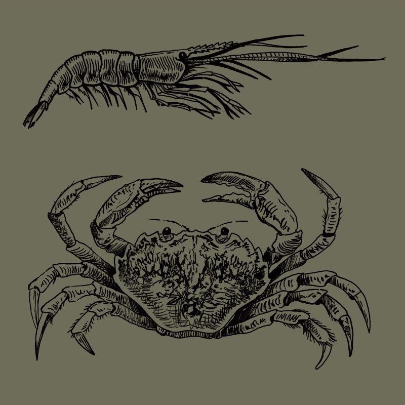 Crab & Shrimp - Shellfish Power