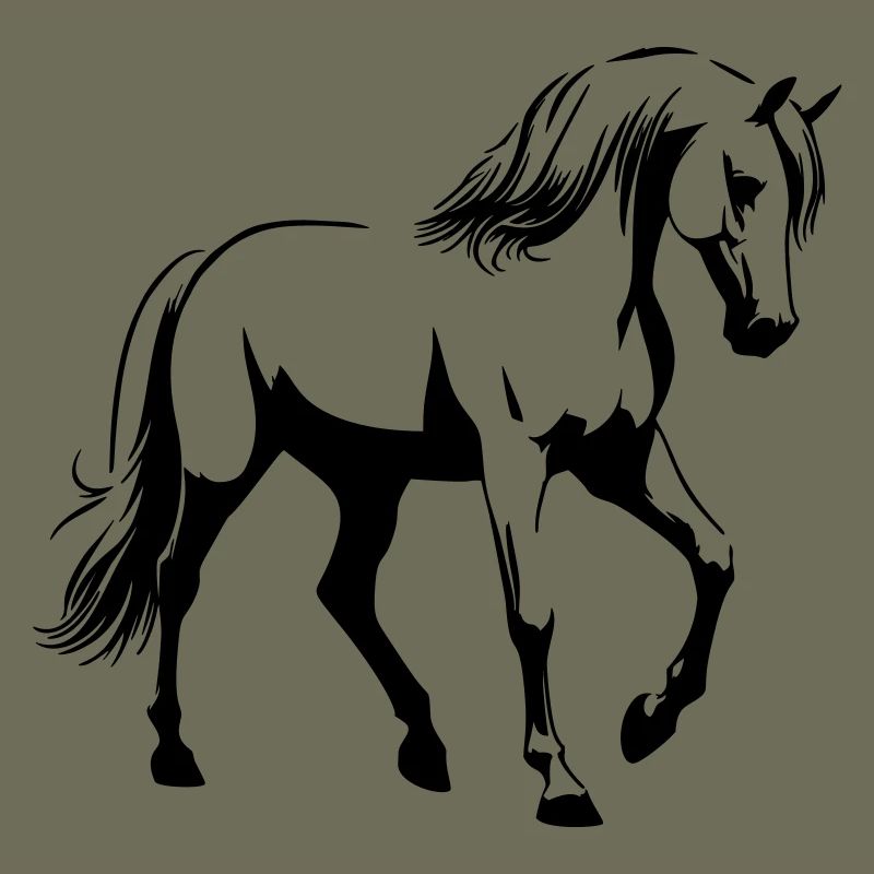 Pferd Araber