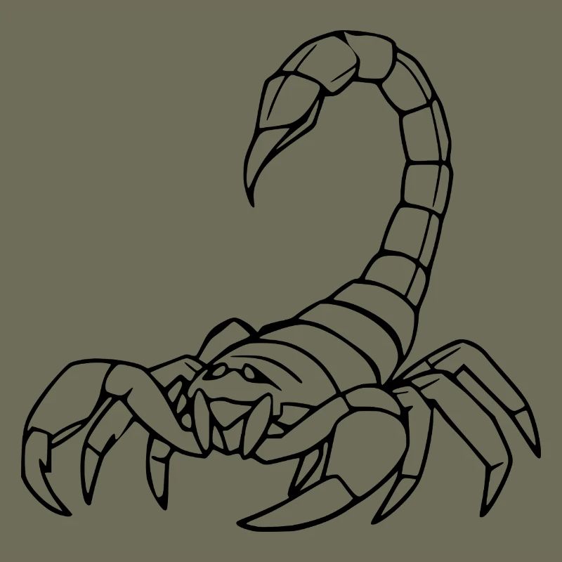 Skorpion Sternzeichen T-shirt Geschenk
