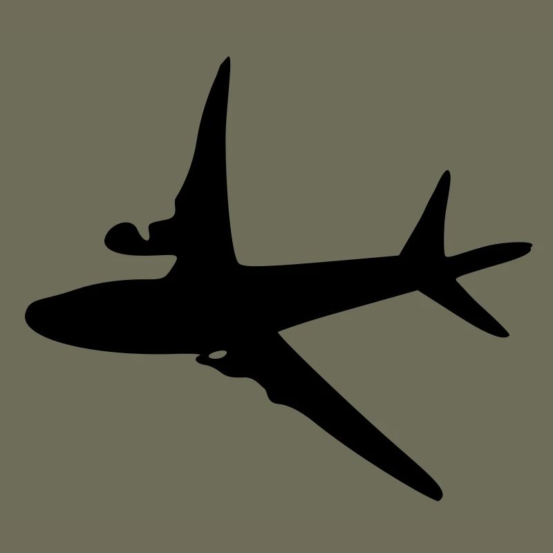 Flugzeug -6