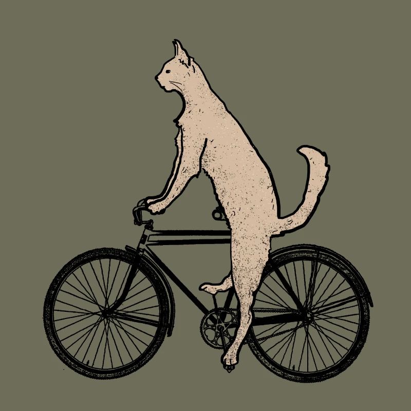 Chat sur le vélo