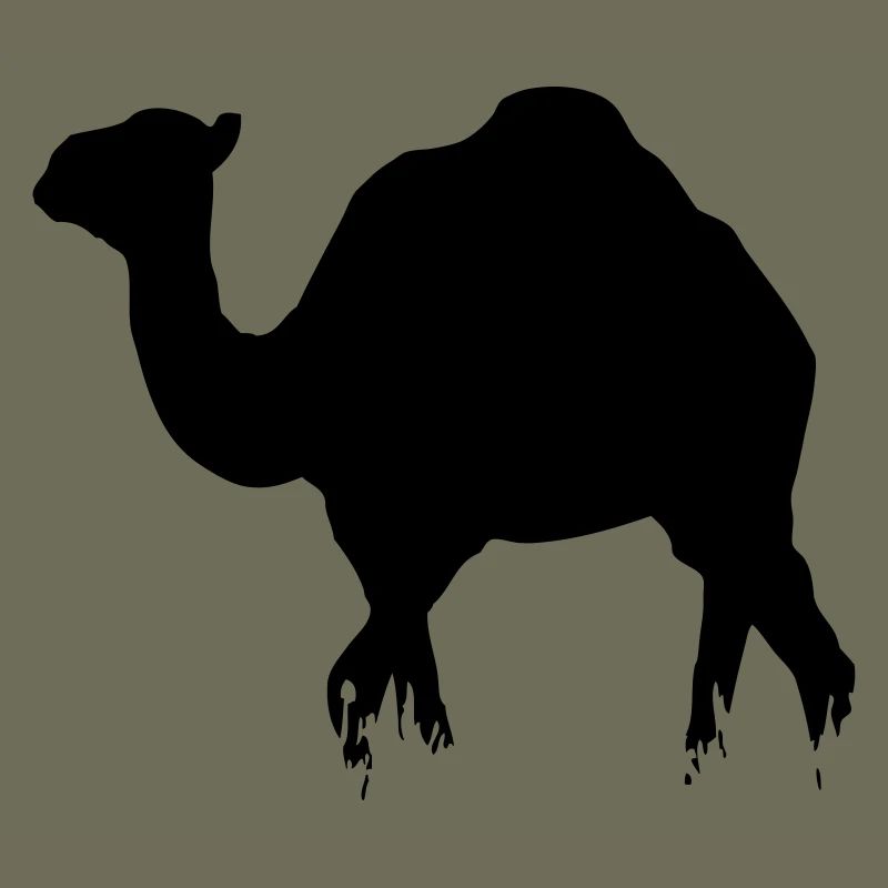 Dromedar - Camel