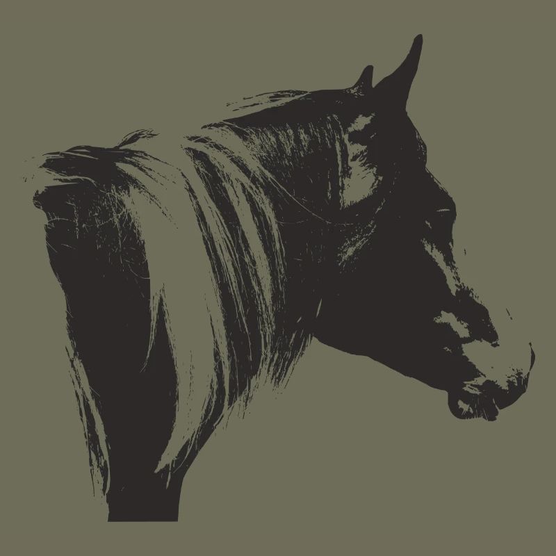 Lewitzer Schecke, Pferd Schecke, Pinto