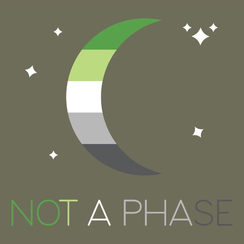 LGBTQ Pride Month - Not a Phase - Aromantic