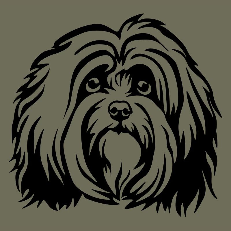 Havanese Head