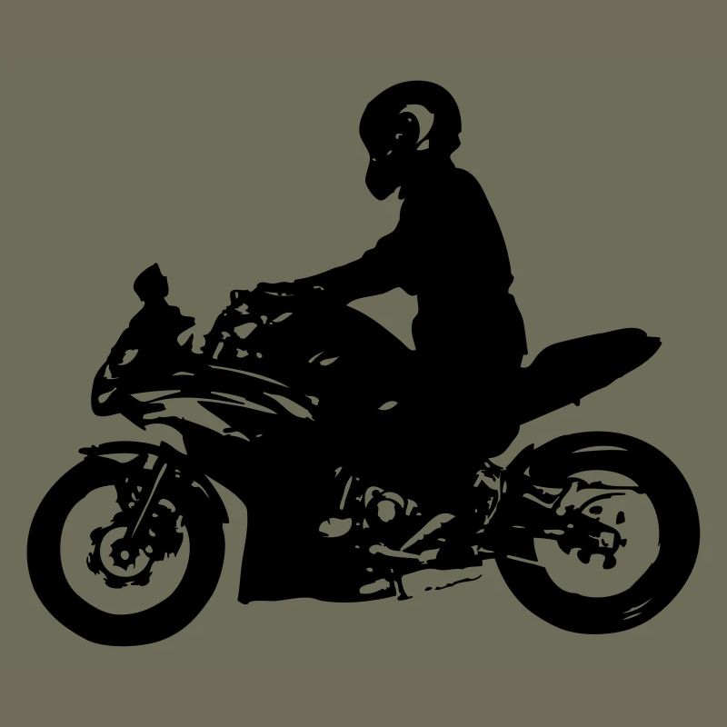 Motorrad Ninja