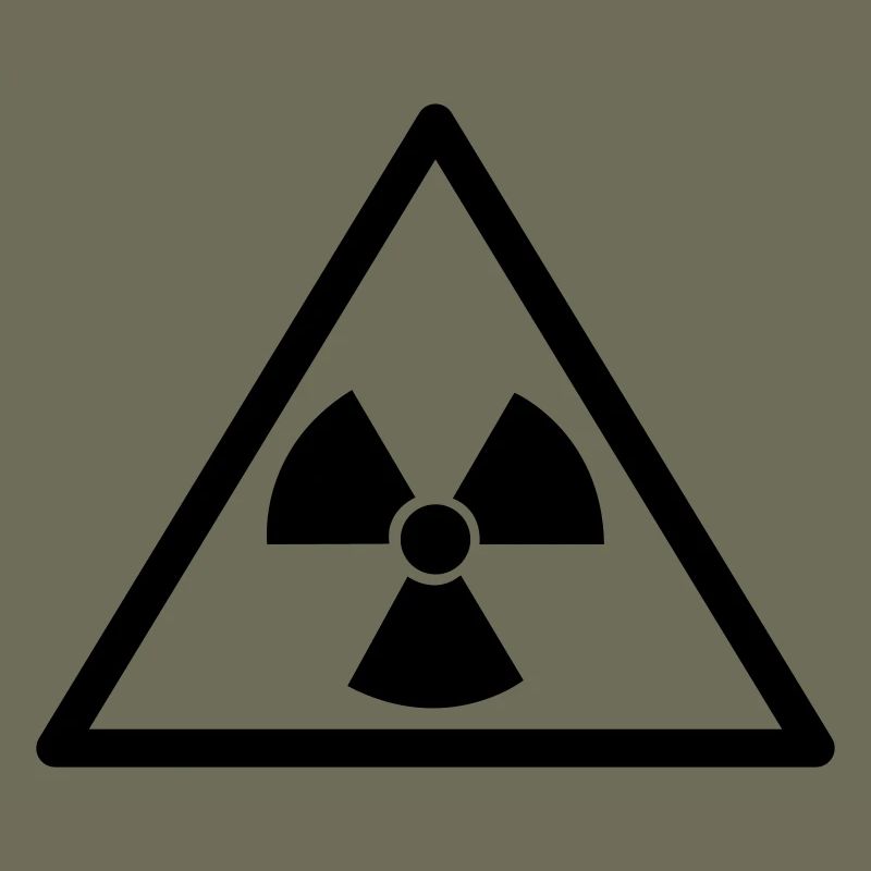 Atomkraft