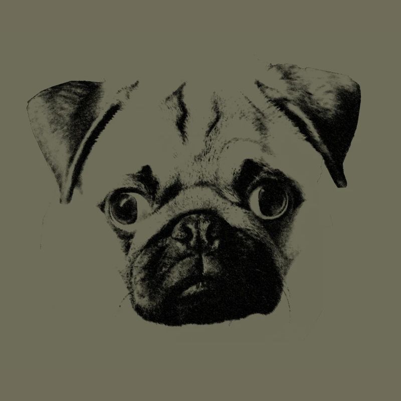 mopsgesicht