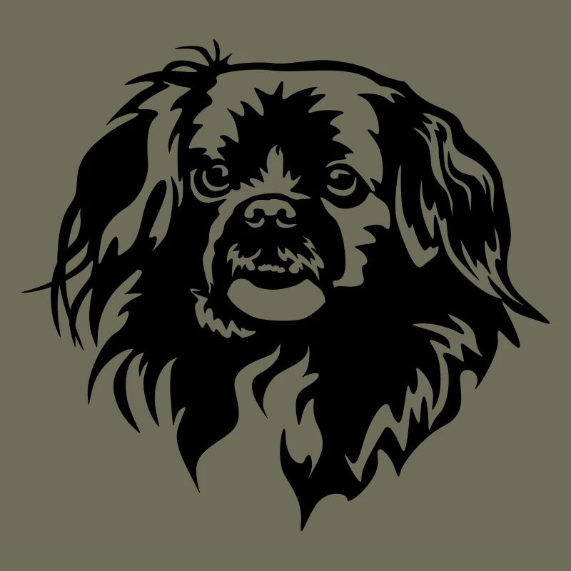 Tibetan Spaniel Head