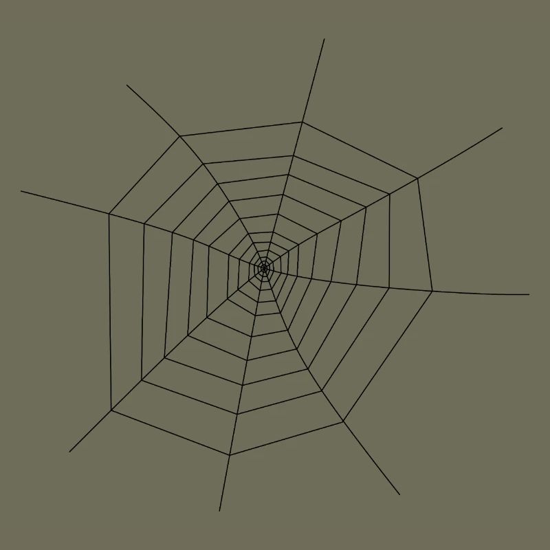 Spider Web