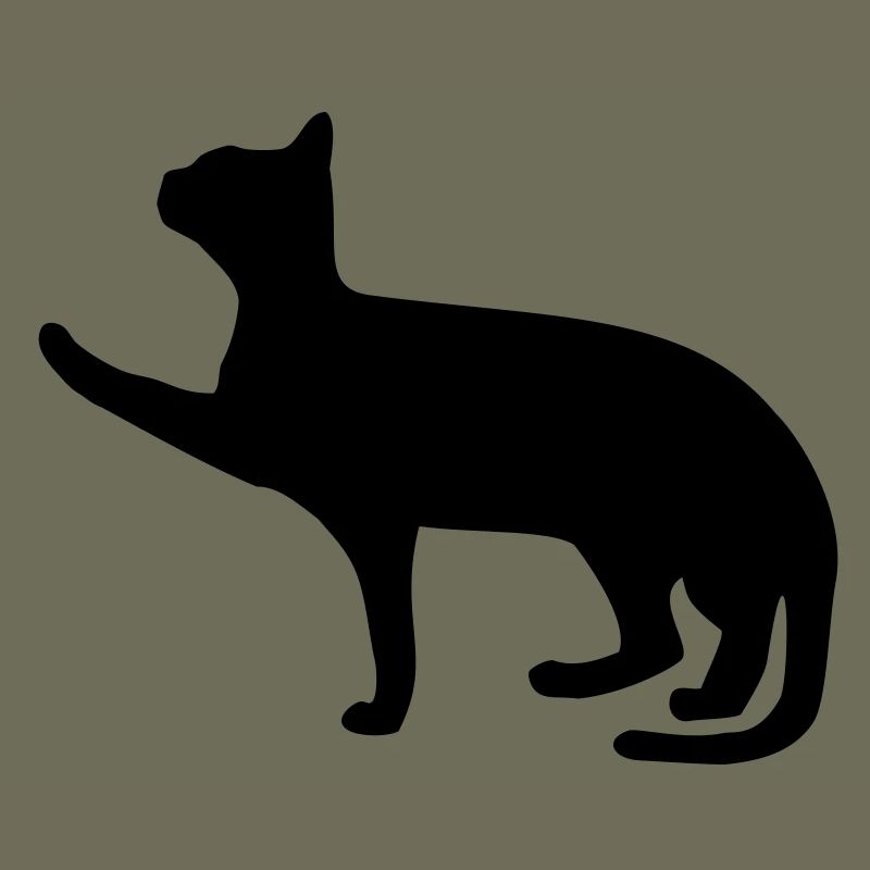 chat