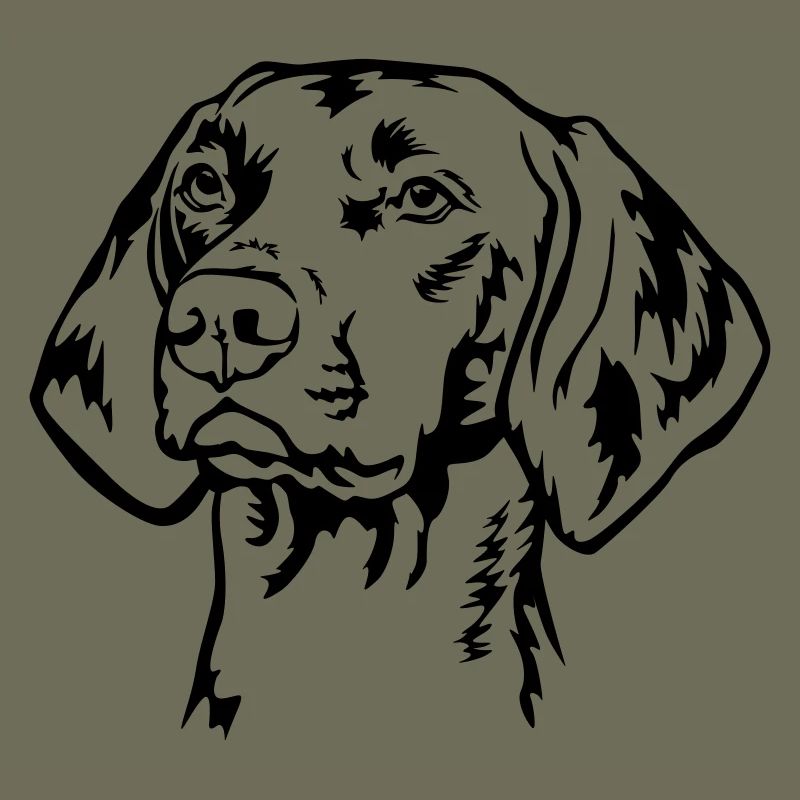 Magyar Vizsla head