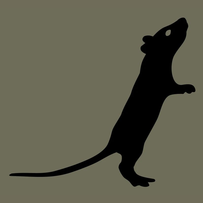 Ratte