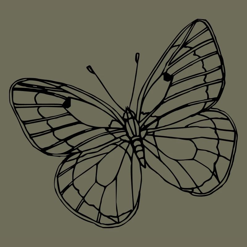 Papillon