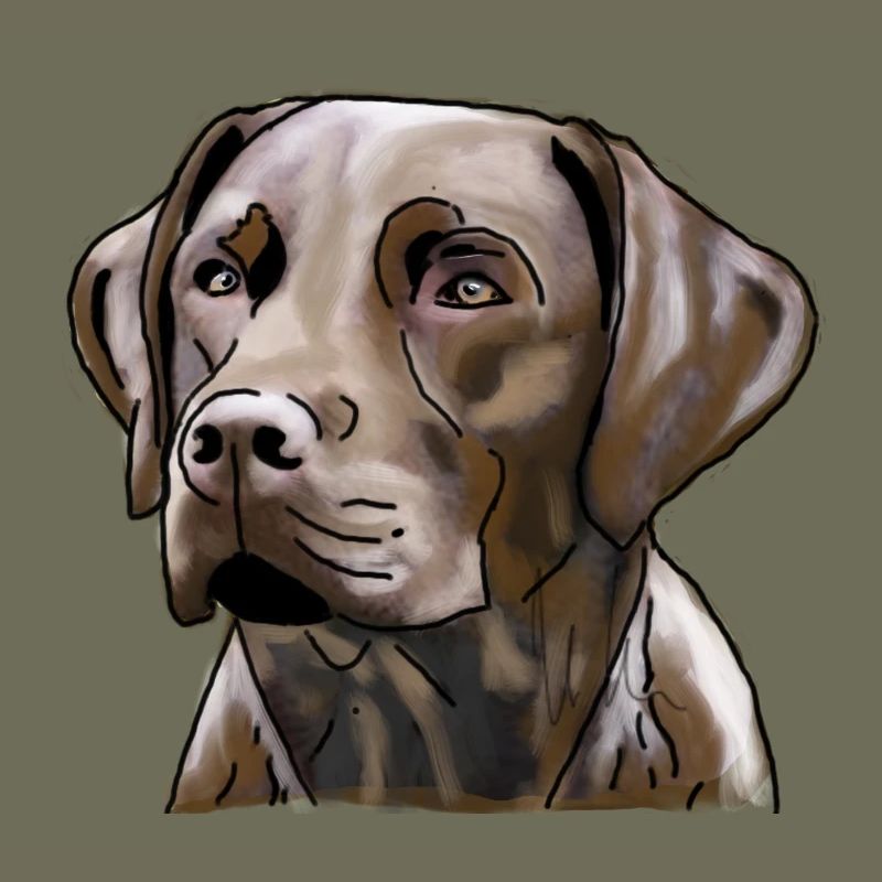 Labrador