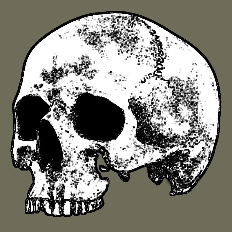 Skull