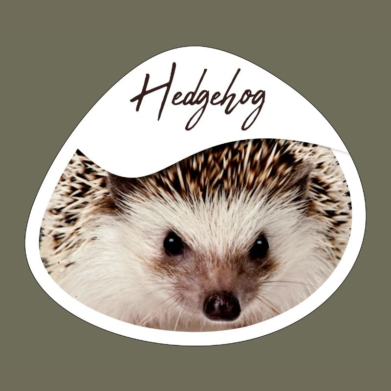 Hérisson