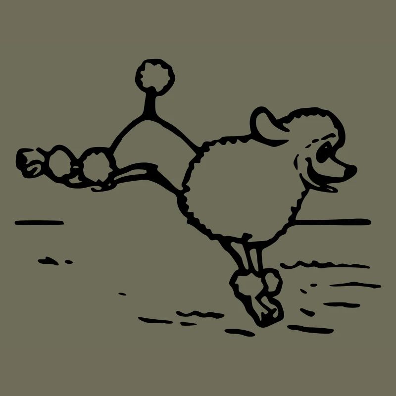 A poodle