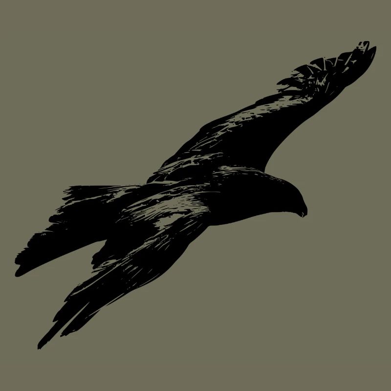 aigle
