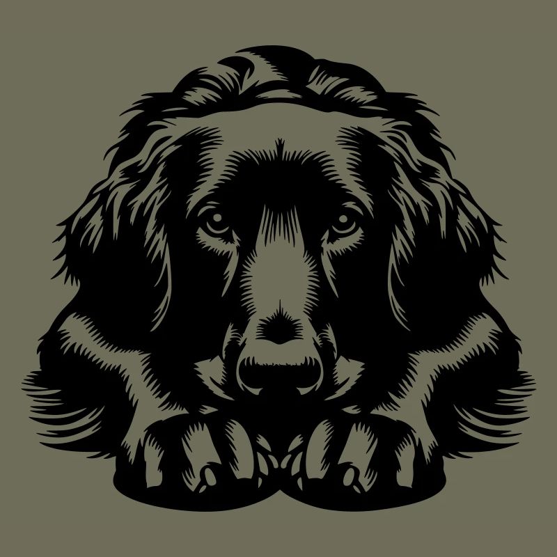 Flat-coated Retriever