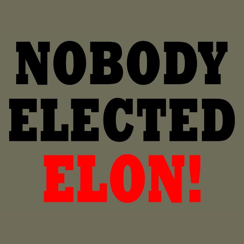 nobody elected elon