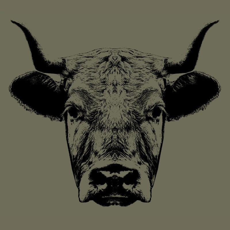 Cow / Head