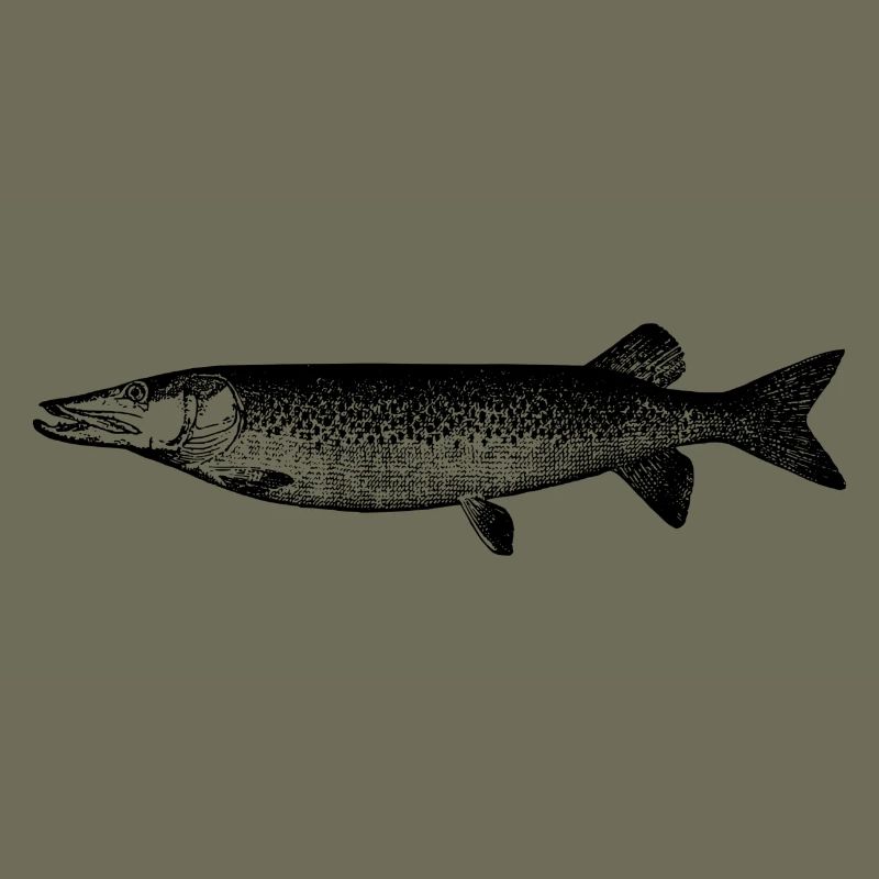 fish111