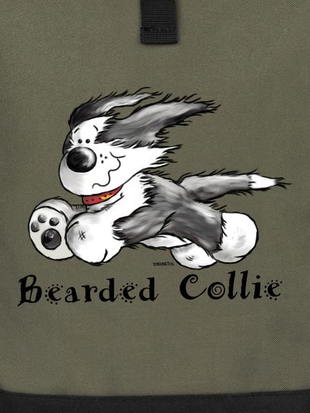 Bearded Collie